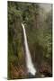 Toro Falls, Cloud Forest, Costa Rica-Rob Sheppard-Mounted Photographic Print