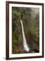 Toro Falls, Cloud Forest, Costa Rica-Rob Sheppard-Framed Photographic Print