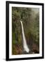 Toro Falls, Cloud Forest, Costa Rica-Rob Sheppard-Framed Photographic Print