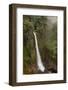 Toro Falls, Cloud Forest, Costa Rica-Rob Sheppard-Framed Photographic Print