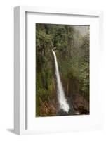 Toro Falls, Cloud Forest, Costa Rica-Rob Sheppard-Framed Photographic Print