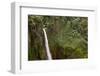 Toro Falls, Cloud Forest, Costa Rica-Rob Sheppard-Framed Photographic Print