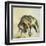 Toro-Lisa Ridgers-Framed Art Print