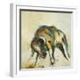 Toro-Lisa Ridgers-Framed Art Print