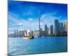 Toronto Center Island Ferry-null-Mounted Art Print