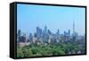 Toronto City Skyline View with Park and Urban Buildings-Songquan Deng-Framed Stretched Canvas