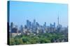 Toronto City Skyline View with Park and Urban Buildings-Songquan Deng-Stretched Canvas