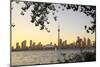 Toronto Cityscape Cent. Island-null-Mounted Art Print