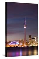 Toronto Illuminated Skyline-null-Stretched Canvas