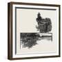 Toronto, Queen's Park, Canada, Nineteenth Century-null-Framed Giclee Print