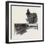 Toronto, Queen's Park, Canada, Nineteenth Century-null-Framed Giclee Print