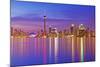 Toronto Skyline at Dusk-Brad Smith-Mounted Photographic Print