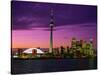 Toronto Skyline at Night, Canada-Jim Schwabel-Stretched Canvas