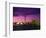 Toronto Skyline at Night, Canada-Jim Schwabel-Framed Photographic Print