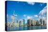 Toronto Skyline from the Lake-null-Stretched Canvas