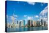 Toronto Skyline from the Lake-null-Stretched Canvas