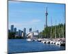 Toronto Skyline & Waterfront-null-Mounted Art Print