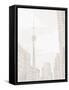 Toronto-Leah Straatsma-Framed Stretched Canvas