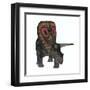 Torosaurus, a Herbivorous Dinosaur from the Late Cretaceous-null-Framed Art Print