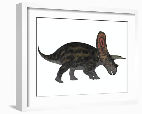 Torosaurus, a Herbivorous Dinosaur from the Late Cretaceous-null-Framed Art Print