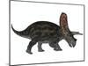 Torosaurus, a Herbivorous Dinosaur from the Late Cretaceous-null-Mounted Art Print