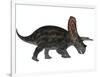 Torosaurus, a Herbivorous Dinosaur from the Late Cretaceous-null-Framed Art Print