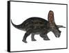 Torosaurus, a Herbivorous Dinosaur from the Late Cretaceous-null-Framed Stretched Canvas