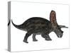 Torosaurus, a Herbivorous Dinosaur from the Late Cretaceous-null-Stretched Canvas
