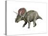Torosaurus Dinosaur-null-Stretched Canvas