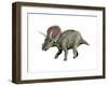 Torosaurus Dinosaur-null-Framed Art Print