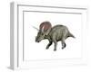 Torosaurus Dinosaur-null-Framed Art Print