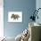 Torosaurus Dinosaur-null-Art Print displayed on a wall