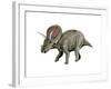 Torosaurus Dinosaur-null-Framed Art Print