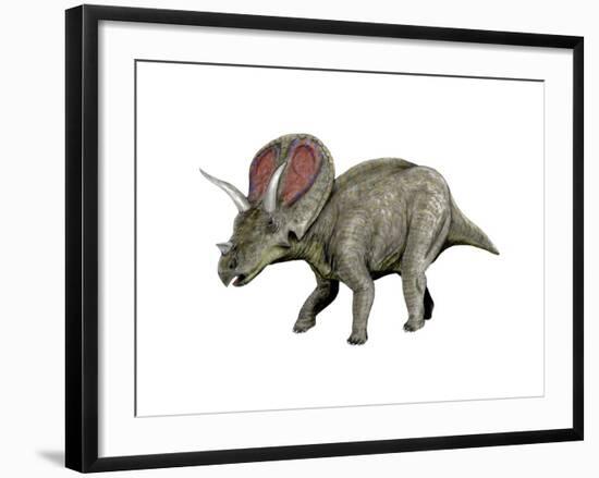 Torosaurus Dinosaur-null-Framed Art Print