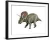 Torosaurus Dinosaur-null-Framed Art Print