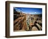 Toroweap Overlook a Panorama of the Canyon From Rim To River, Grand Canyon National Park, AZ-Bernard Friel-Framed Photographic Print