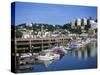 Torquay, Devon, England, United Kingdom, Europe-Lightfoot Jeremy-Stretched Canvas