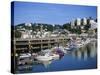 Torquay, Devon, England, United Kingdom, Europe-Lightfoot Jeremy-Stretched Canvas