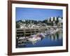 Torquay, Devon, England, United Kingdom, Europe-Lightfoot Jeremy-Framed Photographic Print