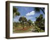 Torquay Gardens, Torquay, South Devon, England, Uk-Roy Rainford-Framed Photographic Print