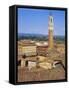 Torre Del Mangia, Siena, Italy-John Miller-Framed Stretched Canvas