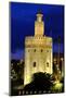 Torre Del Oro (Gold Tower), Museo Naval, Seville, Andalucia, Spain-Carlo Morucchio-Mounted Photographic Print