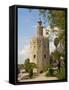 Torre Del Oro, Seville, Andalucia, Spain, Europe-Guy Thouvenin-Framed Stretched Canvas