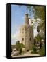 Torre Del Oro, Seville, Andalucia, Spain, Europe-Guy Thouvenin-Framed Stretched Canvas