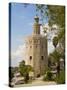 Torre Del Oro, Seville, Andalucia, Spain, Europe-Guy Thouvenin-Stretched Canvas