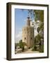 Torre Del Oro, Seville, Andalucia, Spain, Europe-Guy Thouvenin-Framed Photographic Print