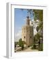 Torre Del Oro, Seville, Andalucia, Spain, Europe-Guy Thouvenin-Framed Photographic Print