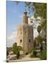 Torre Del Oro, Seville, Andalucia, Spain, Europe-Guy Thouvenin-Mounted Photographic Print