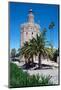 Torre del Oro, Seville, Andalusia, Spain, Europe-Ethel Davies-Mounted Photographic Print