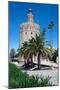 Torre del Oro, Seville, Andalusia, Spain, Europe-Ethel Davies-Mounted Photographic Print